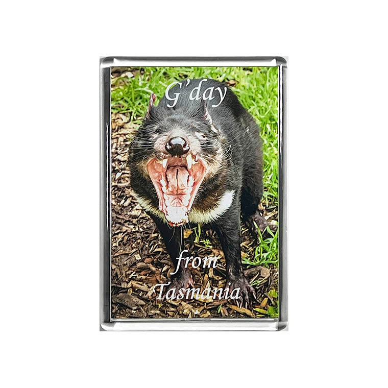 Large Acrylic Fridge Magnets