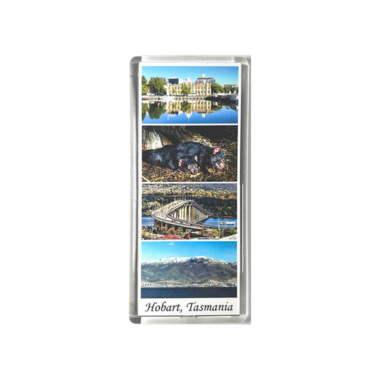 Panoramic Acrylic Fridge Magnets