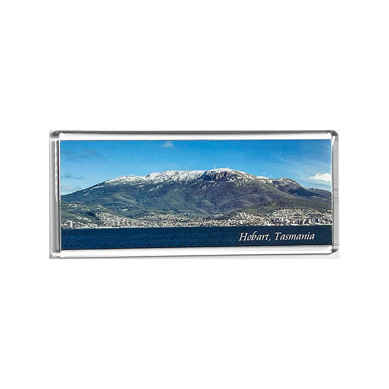 Panoramic Acrylic Fridge Magnets