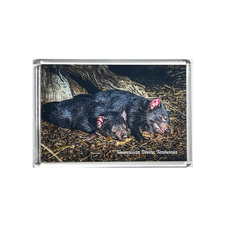 Large Acrylic Fridge Magnets