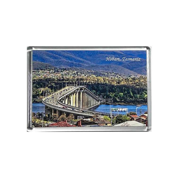Large Acrylic Fridge Magnets