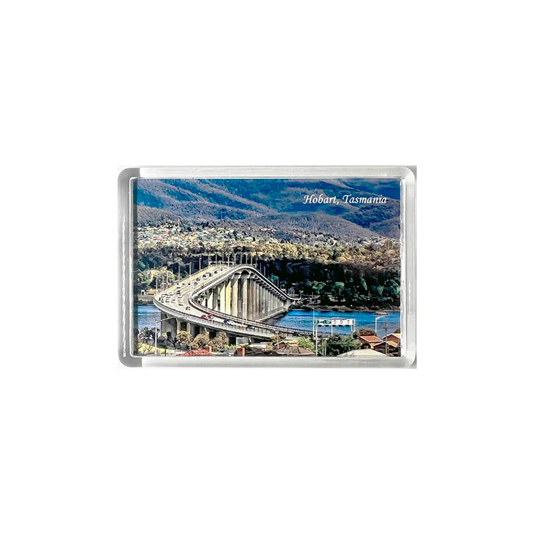 Small Acrylic Fridge Magnets