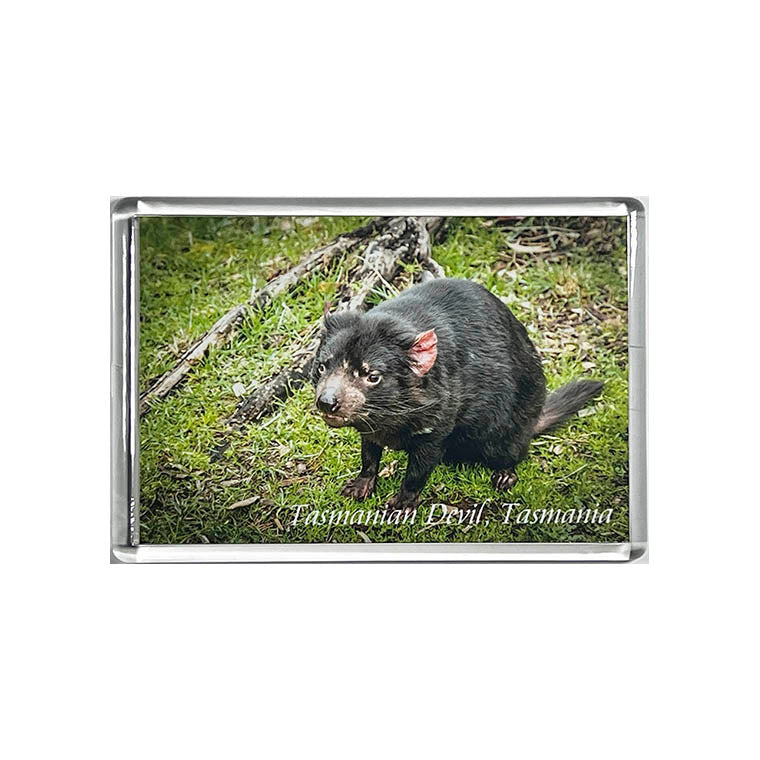 Large Acrylic Fridge Magnets